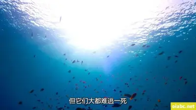 良法APP剧照1