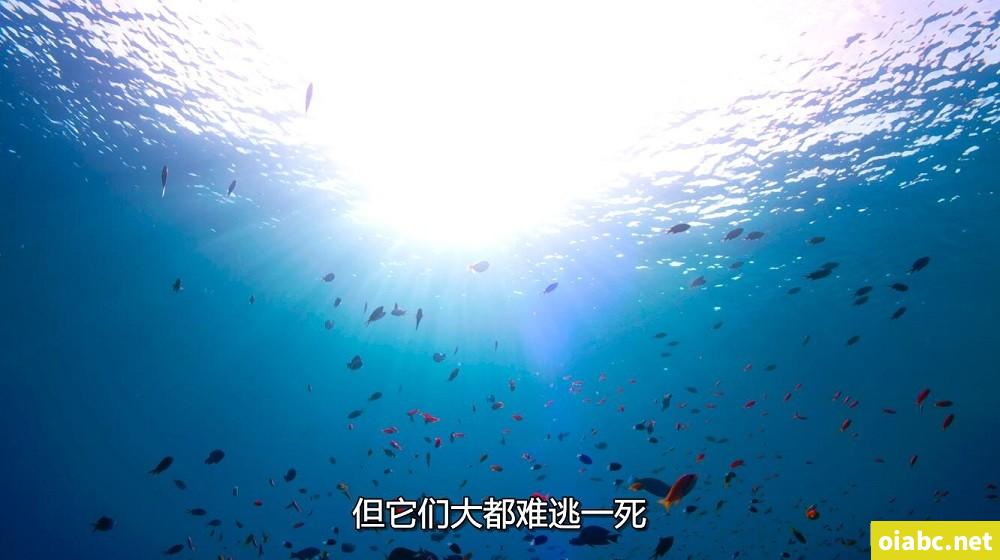 男j进女屁剧照3